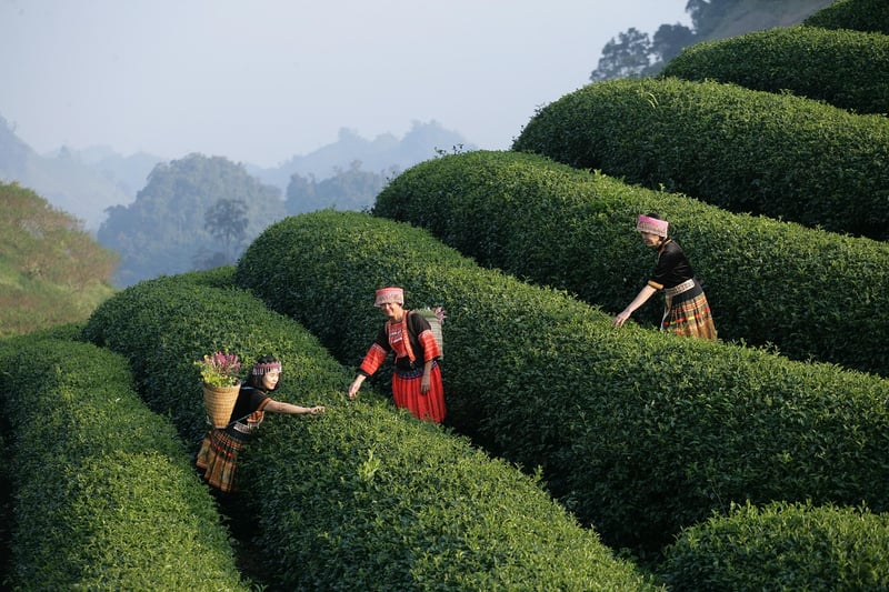 Enchanting Experiences